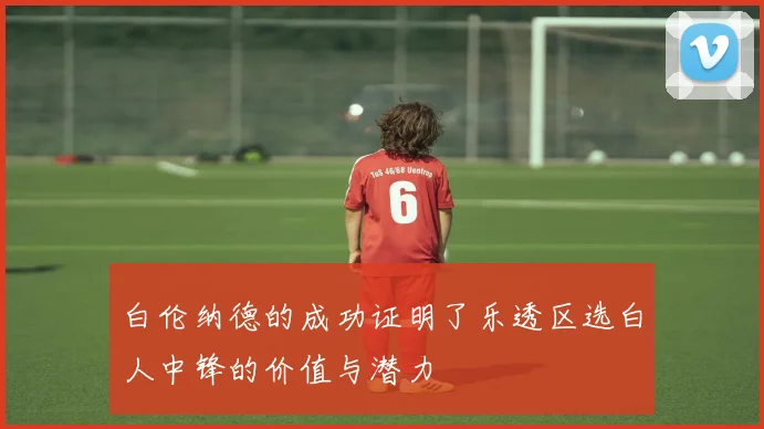 白伦纳德的成功证明了乐透区选白人中锋的价值与潜力