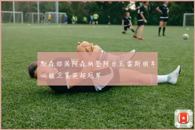 默森称若阿森纳签阿尔瓦雷斯明年必能卫冕英超冠军